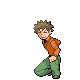Image:BrockHGSS.gif‎
