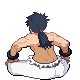 File:BrunoHGSS.gif